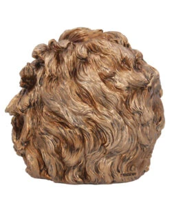 Albert Einstein Totenschädel 21cm -Halloween Lieferungen albert einstein totenkopf albert einstein totenschaedel albert einstein skull 54562 04