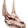 Anubis Totenschädel Figur 17cm -Halloween Lieferungen anubis totenkopf figur anubis totenschaedel figur anubis skull figurine 51020 01