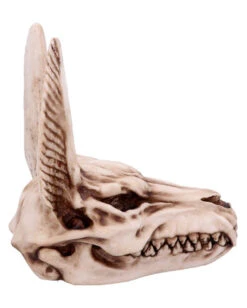 Anubis Totenschädel Figur 17cm -Halloween Lieferungen anubis totenkopf figur anubis totenschaedel figur anubis skull figurine 51020 04