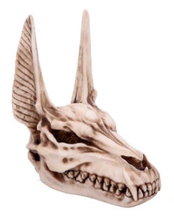 Anubis Totenschädel Figur 17cm -Halloween Lieferungen anubis totenkopf figur anubis totenschaedel figur anubis skull figurine 51020 05