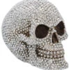 Aurora Borealis Totenschädel 16cm -Halloween Lieferungen aurora boreali totenkopf aurora boreali totenschaedel aurora boreali skull priceless grin skull 53390 01