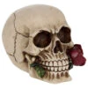 Beiger Totenschädel Mit Roter Rose 15cm 2 Beiger Totenschädel Mit Roter Rose 15cm -Halloween Lieferungen beiger totenkopf mit roter rose beiger totenschaedel mit roter rose antic skull with red rose 53389 01