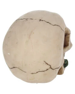 Beiger Totenschädel Mit Roter Rose 15cm -Halloween Lieferungen beiger totenkopf mit roter rose beiger totenschaedel mit roter rose antic skull with red rose 53389 05