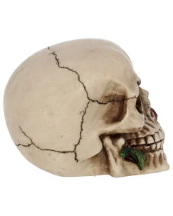 Beiger Totenschädel Mit Roter Rose 15cm -Halloween Lieferungen beiger totenkopf mit roter rose beiger totenschaedel mit roter rose antic skull with red rose 53389 06