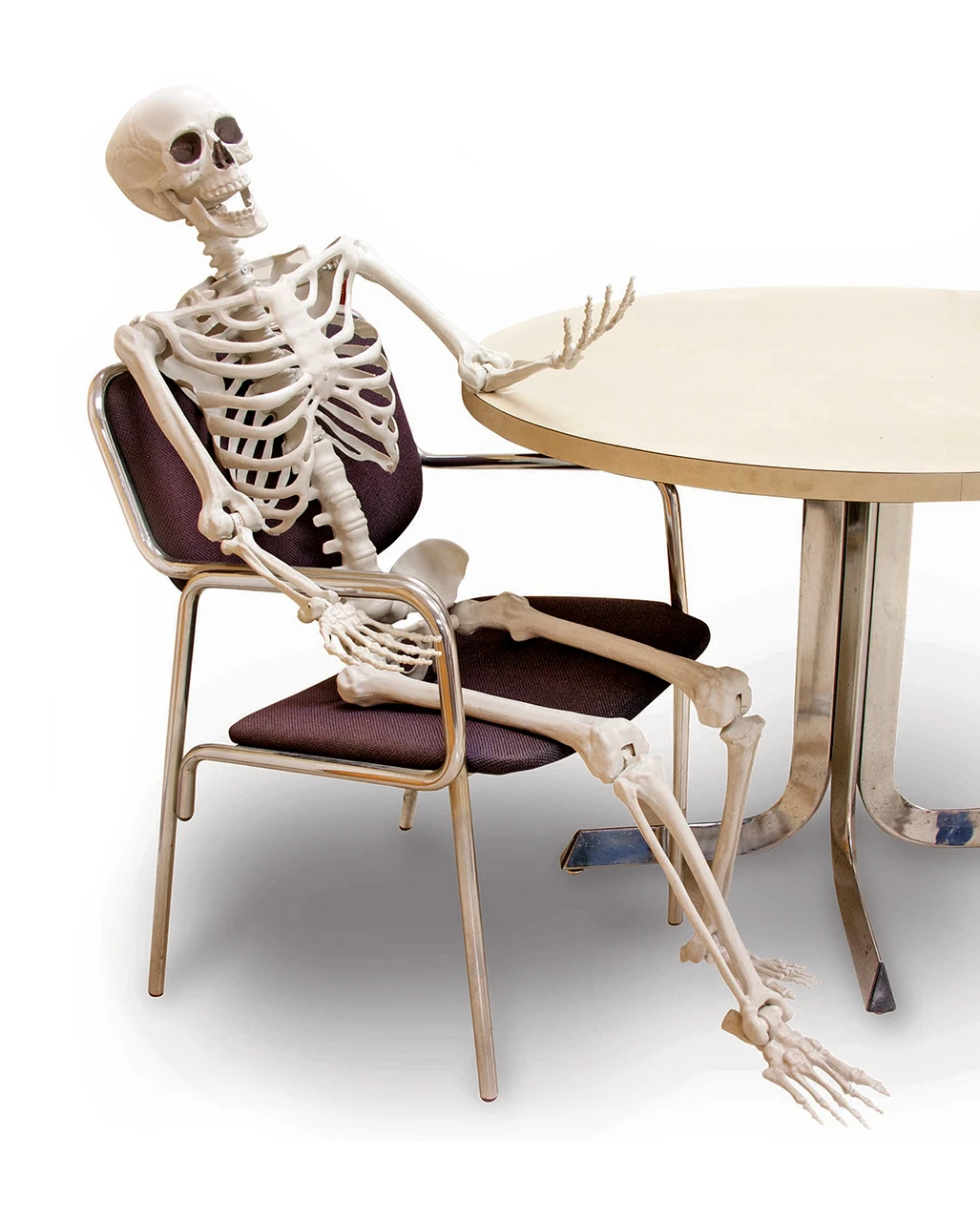 Biegsames Skelett 160cm 3 Biegsames Skelett 160cm