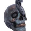 Schuppige Schlange In Totenkopf 19cm -Halloween Lieferungen das schicksal der schlange gothic schaedel 19cm serpentine fate gothic snake skull gothic deko totenkopf 53993