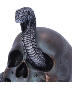 Schuppige Schlange In Totenkopf 19cm -Halloween Lieferungen das schicksal der schlange gothic schaedel 19cm serpentine fate gothic snake skull gothic deko totenkopf 53993 5