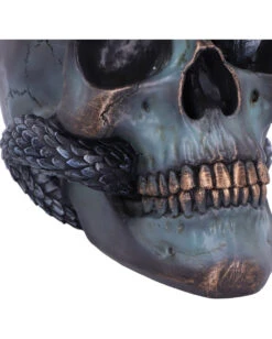 Schuppige Schlange In Totenkopf 19cm -Halloween Lieferungen das schicksal der schlange gothic schaedel 19cm serpentine fate gothic snake skull gothic deko totenkopf 53993 6