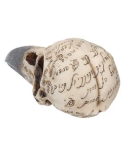 Edgar´s Raben Totenschädel -Halloween Lieferungen edgars raben skelettschaedel edgars raben totenschaedel edgars raven skull 39198 04