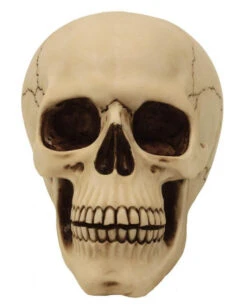 Graveyard Totenschädel Large -Halloween Lieferungen graveyard totenkopf large graveyard totenschaedel graveyard skull large gothic deko 52351 02