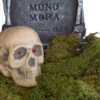 Grünes Deko Moos 80g -Halloween Lieferungen halloween deko moos 80g halloween friedhof dekoration moos halloween decoration 24542