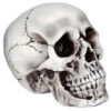 Beiger, Realistischer Totenkopf -Halloween Lieferungen halloween totenschaedel halloween totenkopf halloween deko realistic skull 21539 01