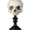 J. DOE Totenschädel Auf Sockel 20cm -Halloween Lieferungen j doe totenkopf auf sockel j doe totenschaedel auf sockel j doe skull plinth gothic homware 54857 04