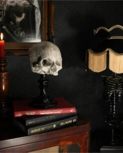 J. DOE Totenschädel Auf Sockel 20cm -Halloween Lieferungen j doe totenkopf auf sockel j doe totenschaedel auf sockel j doe skull plinth gothic homware 54857 05