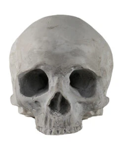 J. DOE Totenschädel 17cm 7 J. DOE Totenschädel 17cm -Halloween Lieferungen j doe totenkopf j doe totenschaedel ghotic totenkopf gothic wohnaccessoire gothic homware 54856 03