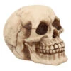 Kleiner Grinsender Totenkopf 12cm 1 Kleiner Grinsender Totenkopf 12cm -Halloween Lieferungen kleiner grinsender totenschaedel small joker skull totenkopf dekoration gothic deko 50730 01