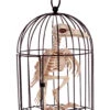 Raben Skelett Im Käfig -Halloween Lieferungen kraehen skelett im kaefig raben skelett im kaefig skeleton crow in cage 39341 01