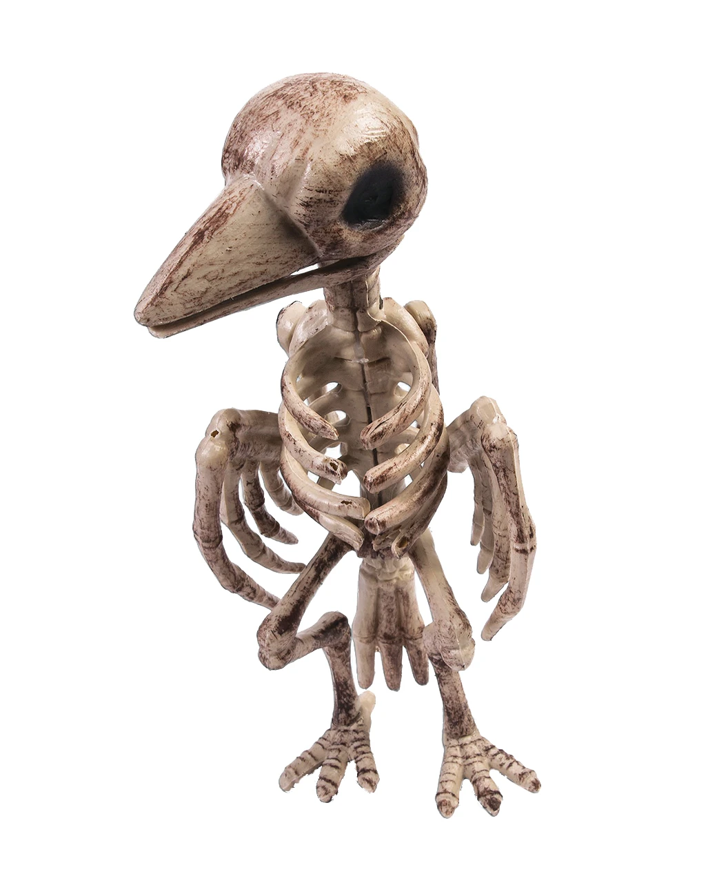 Raben Skelett Mit Knochengerippe 3 Raben Skelett Mit Knochengerippe