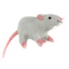 Weiße Plüschratte 19cm 1 Weiße Plüschratte 19cm -Halloween Lieferungen kuscheltier ratte 19cm weiss plueschratte fuer kinder geschenkartikel plueschtier ratte 29709