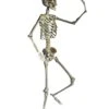 Positionierbares Halloween Skelett 160cm -Halloween Lieferungen lebensgrosses halloween skelett 160cm lifesize poese hold skeleton halloween und horror deko 53537