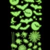 Leuchtende "Fledermäuse & Spinnen" Halloween Sticker -Halloween Lieferungen leuchtende halloween sticker fledermaeuse und spinnen glow in the dark halloween sticker bats and spiders 51726 01