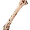 Menschlicher Kunststoff Knochen 34cm -Halloween Lieferungen menschlicher knochen kunststoff human bone pvc kostuemzuebhoer 52820 01
