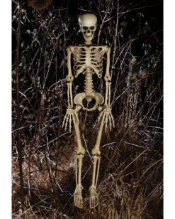 Bewegliches Knochenskelett 90cm 7 Bewegliches Knochenskelett 90cm -Halloween Lieferungen positionierbares knochenskelett halloween deko skelett mit beweglichen gelenken halloween und horror deko 52003 2