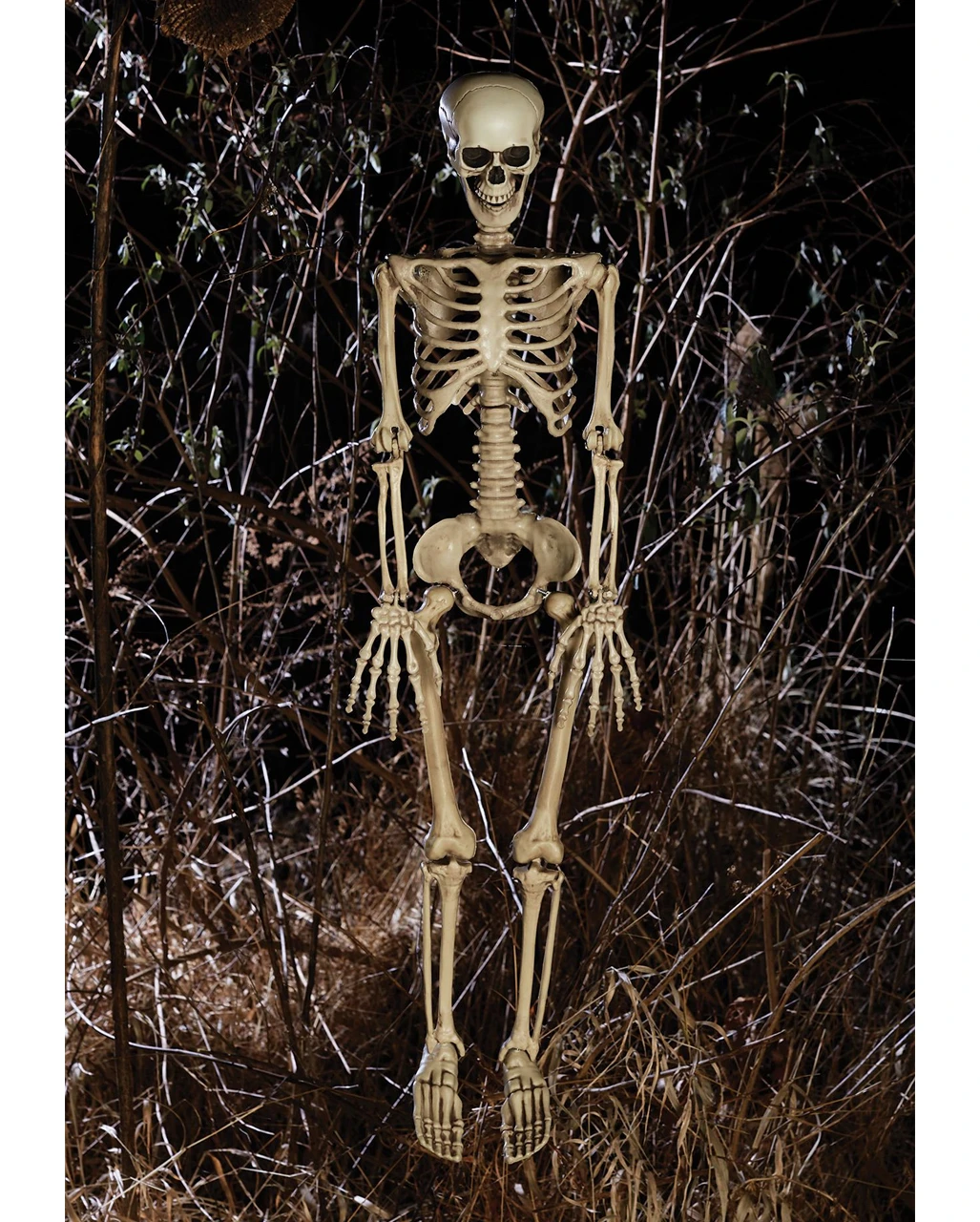 Bewegliches Knochenskelett 90cm 5 Bewegliches Knochenskelett 90cm – Bild 3