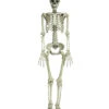 Bewegliches Knochenskelett 90cm