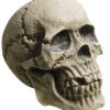 Verwitterter Skull Totenkopf -Halloween Lieferungen rotting skull totenschaedel verwitterter totenkopf halloween deko 28000