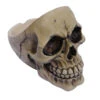 Aschenbecher Totenschädel -Halloween Lieferungen schaedel aschenbecher totenkopf dekoration skeleton ash tray 27476