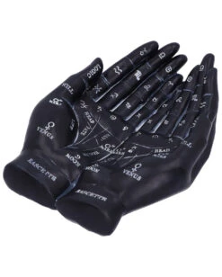 Schwarze Chiromantie-Hände Teelichthalter 13 Schwarze Chiromantie-Hände Teelichthalter -Halloween Lieferungen schwarze handlese haende kerzenhalter schwarze chiromantie haende teelichthalter 51059 05