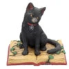 Schwarze Hexenkatze Mit Pentagramm -Halloween Lieferungen schwarze katze mit hexenbuch schwarze hexenkatze mit pentagramm witch cat eclipse 39250 01