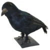 Rabe Schwarz 32 Cm -Halloween Lieferungen schwarzer rabe halloween deko realistic crow halloween decoration 10472
