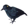 Rabe Schwarz Klein 22cm 1 Rabe Schwarz Klein 22cm -Halloween Lieferungen schwarzer rabe mit federn halloween deko black crow halloween decoration 13832 01