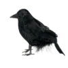 Schwarzer Rabe 15 Cm -Halloween Lieferungen schwarzer rabe mit echten federn als halloween dekoration 22389