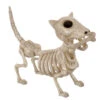 Hunde Skelett Mit Knochen 27cm 1 Hunde Skelett Mit Knochen 27cm -Halloween Lieferungen skelett hund mit knochen hunde skelett mit knochen skeleton dog with bone 52641 01