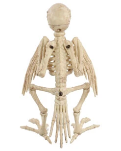 Papagei Skelett 19cm 9 Papagei Skelett 19cm -Halloween Lieferungen skelett papagei skeleton parrot halloween dekoration 52638 04