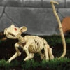 Ratten Skelett 20cm 1 Ratten Skelett 20cm -Halloween Lieferungen skelett ratte 20cm ungeziefer dekoration knochengerippe halloween deko skeleton rat 35974