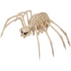 Tarantel Skelettfigur Spinne 20x35cm 2 Tarantel Skelettfigur Spinne 20x35cm -Halloween Lieferungen skelett tarantel spinne 100cm skeleton tarantula spider skelettfigur tier halloween 53356