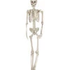Hängefigur Skelett Torso 160cm -Halloween Lieferungen skelett torso haengefigur 160cm realistisches skelett fuer halloween skeleton figure 35964