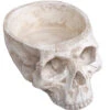 Totenschädel Schale 28cm 2 Totenschädel Schale 28cm -Halloween Lieferungen totenkopf schale totenschaedel schale skull planter totenkopf dekoration 51403 01