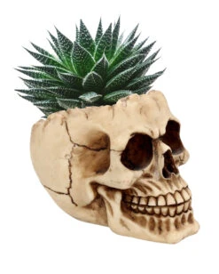 Realistische Totenschädel Schale Mit Offener Schädeldecke -Halloween Lieferungen totenschaedel schale mit offener schaedeldecke realistic skull mug morbide gothic deko halloween deko totenschaedel 39289 2