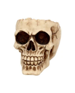 Realistische Totenschädel Schale Mit Offener Schädeldecke -Halloween Lieferungen totenschaedel schale mit offener schaedeldecke realistic skull mug morbide gothic deko halloween deko totenschaedel 39289 3