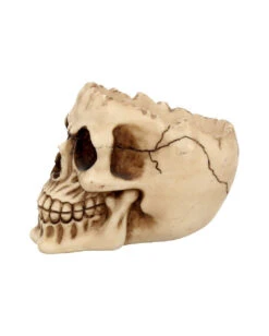 Realistische Totenschädel Schale Mit Offener Schädeldecke -Halloween Lieferungen totenschaedel schale mit offener schaedeldecke realistic skull mug morbide gothic deko halloween deko totenschaedel 39289 4