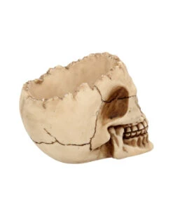 Realistische Totenschädel Schale Mit Offener Schädeldecke -Halloween Lieferungen totenschaedel schale mit offener schaedeldecke realistic skull mug morbide gothic deko halloween deko totenschaedel 39289 6
