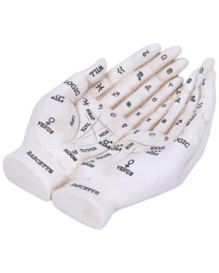 Weiße Chiromantie-Hände Teelichthalter 13 Weiße Chiromantie-Hände Teelichthalter -Halloween Lieferungen weisse handlese haende kerzenhalter weisse chiromantie haende teelichthalter 51058 05